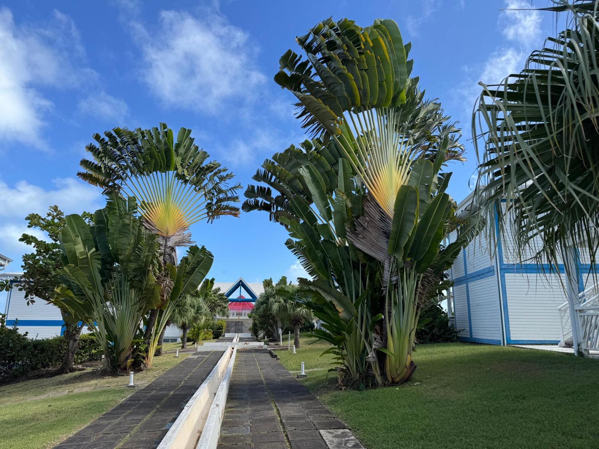 Ticarbets T3 - Résidence Managano - En bord de Plage Saint-Francois  Esterno foto